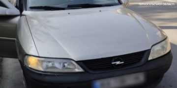 у водія на Тернопільщині виявили підроблені документи