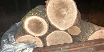 житель Рівненщини незаконно зрізав дрова на Тернопільщині