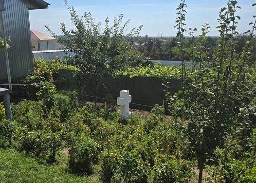 посадили помідори на могилі