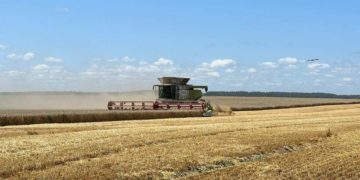 У «Контінентал» наближається до завершення збір ранніх зернових