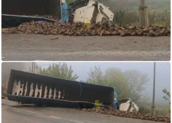 ДТП на Тернопільщині