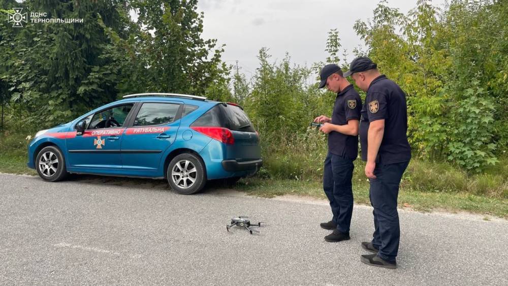 ДТСН виявляє паліїв трави