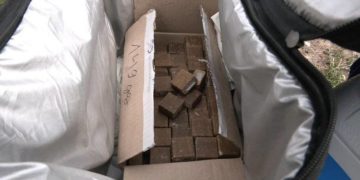 на Тернопільщині проводять вакцинацію тварин