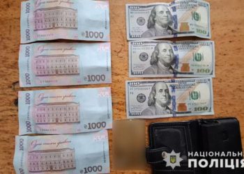 на Тернопільщині затримали злодія