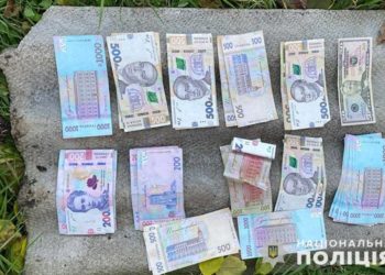 на Тернопільщині затримали крадія