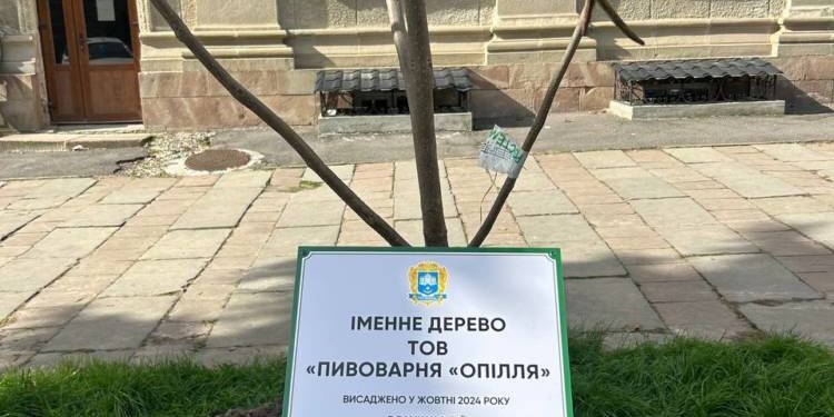 У центрі Тернополя ростуть іменні дерева «Опілля», донати за які підуть на ЗСУ