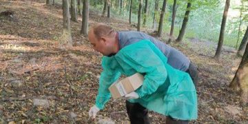 на Тернопільщині розкидают вакцину від сказу