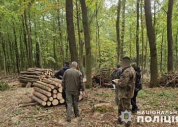 на Тернопільщині виявили незаконну порубку лісу