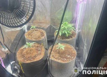 на Тернопільщині затримали наркоторговці