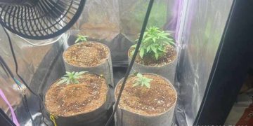 на Тернопільщині затримали наркоторговці