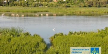 заказник "Серетський"