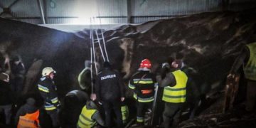 чоловіка засипало зерном