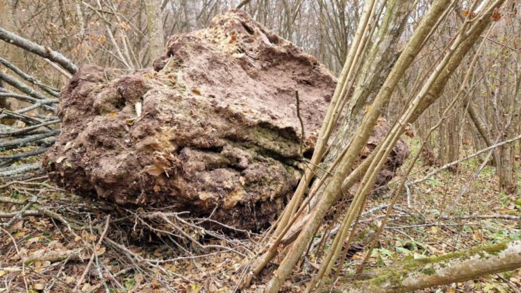 У Чортківському районі обвалилася скеля відомого водоспаду “Дівочі сльози”
