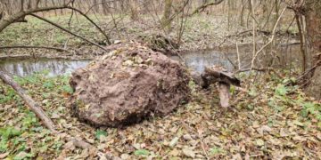 обвал водоспаду на Тернопільщині