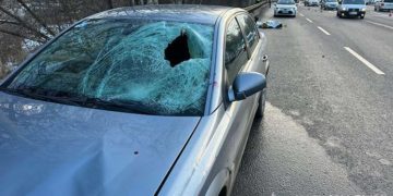 ДТП на Тернопільщині