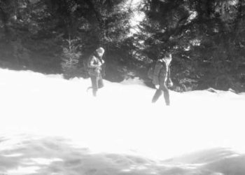 прикордонники затримали порушників