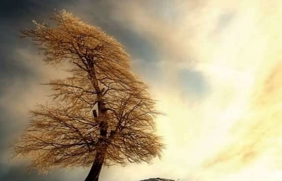 штормове попередження