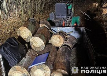 поліція викрила незаконну вирубку дерев