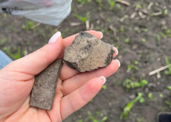 прокуратура відсудила землю