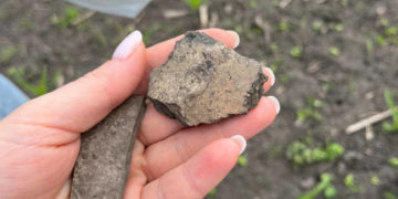 прокуратура відсудила землю