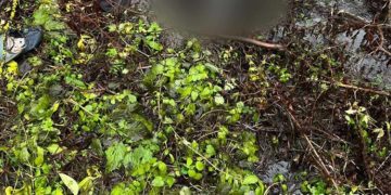 знайшли мертвого пенсіонера