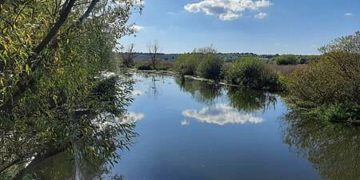 прокуратура повернула землю державі