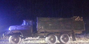 виявили незаконну вирубку дерев