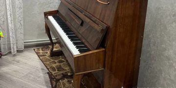 директорка школи вкрала піаніно