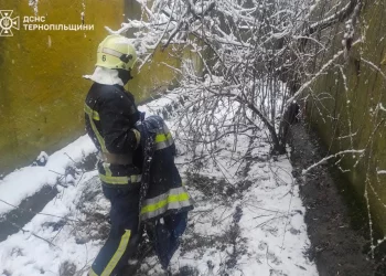 рятувальники спасли собаку