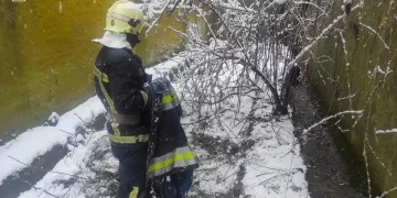 рятувальники спасли собаку