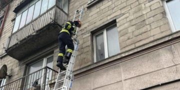 ДСНС врятували кота