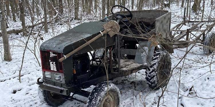 Вирубка лісу у заповідній зоні