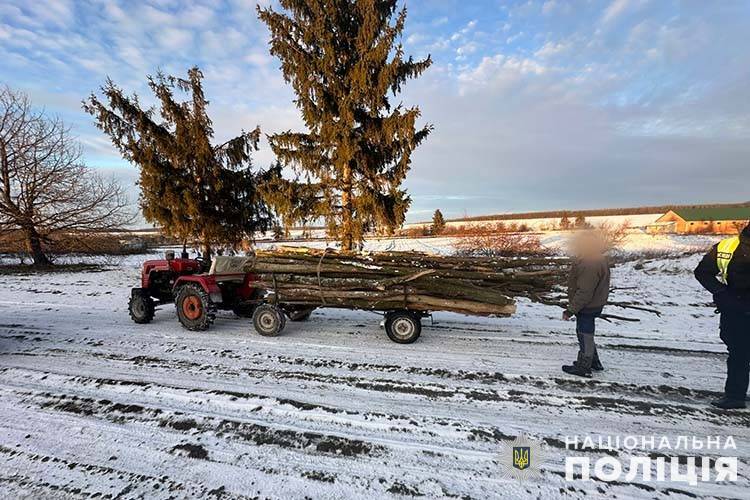 Вирубка лісу у заповідній зоні