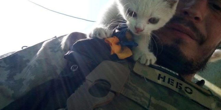 Михайло Микусь