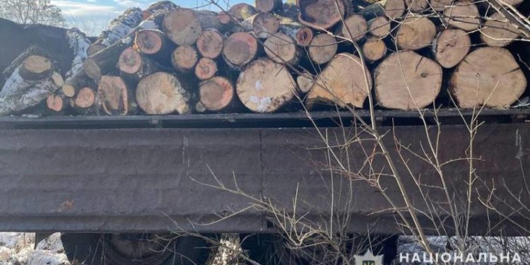 Незаконна вирубка деревини