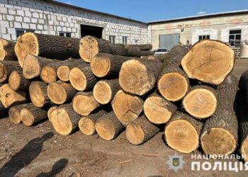 Незаконний продаж деревини