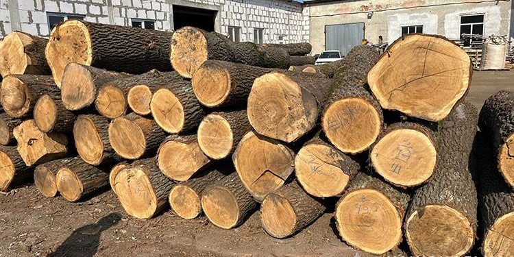 Незаконний продаж деревини