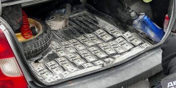 Злочинці допомагали ухилянтам