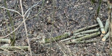 Фото Нацполіції