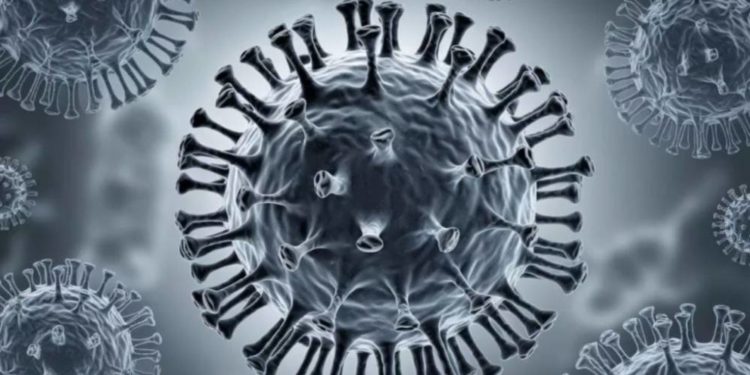 При метапневмовірусі не потрібно робити специфічних тестів, не існує спеціалізованого лікування – головний державний санітарний лікар Ігор Кузін