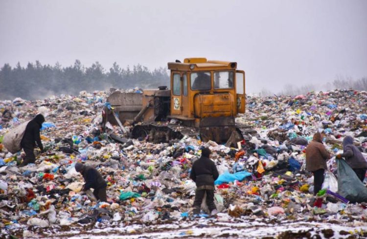 Екоінспекція виявила відразу 5 стихійних сміттєзвалищ на території Борсуківської громади