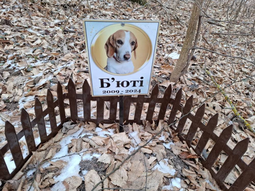 Цвинтар тварин