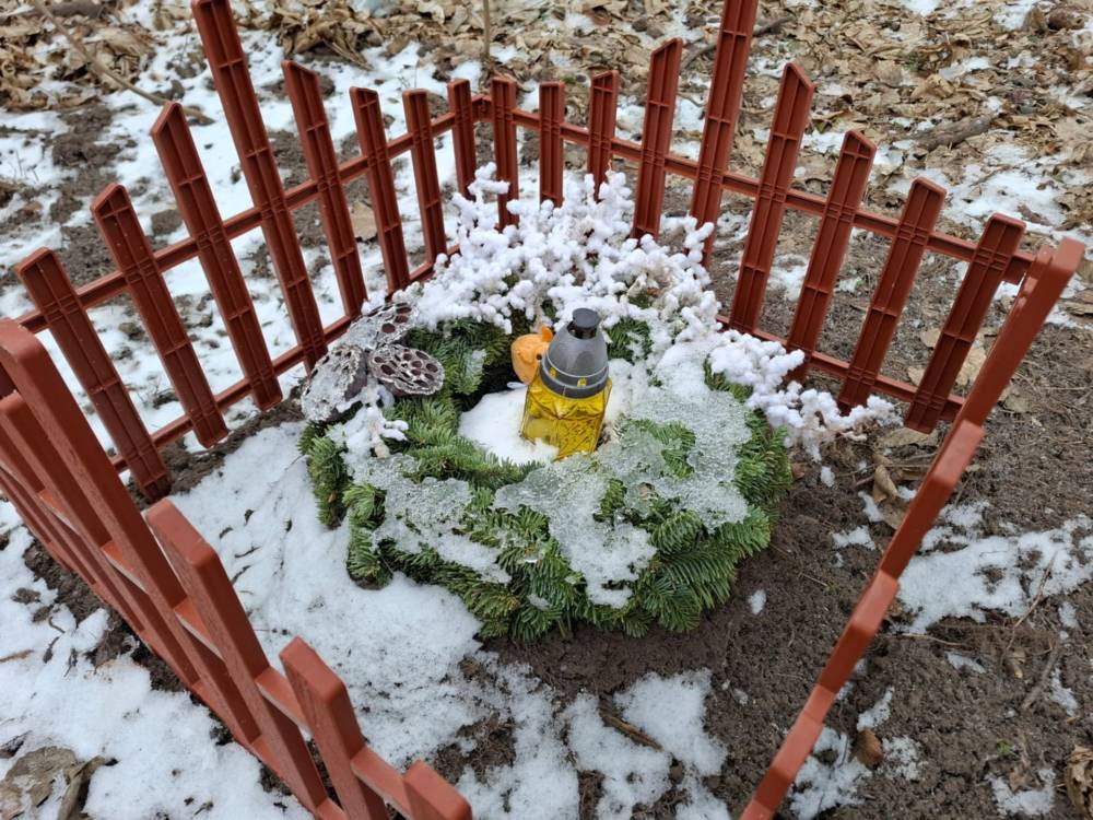 Цвинтар тварин