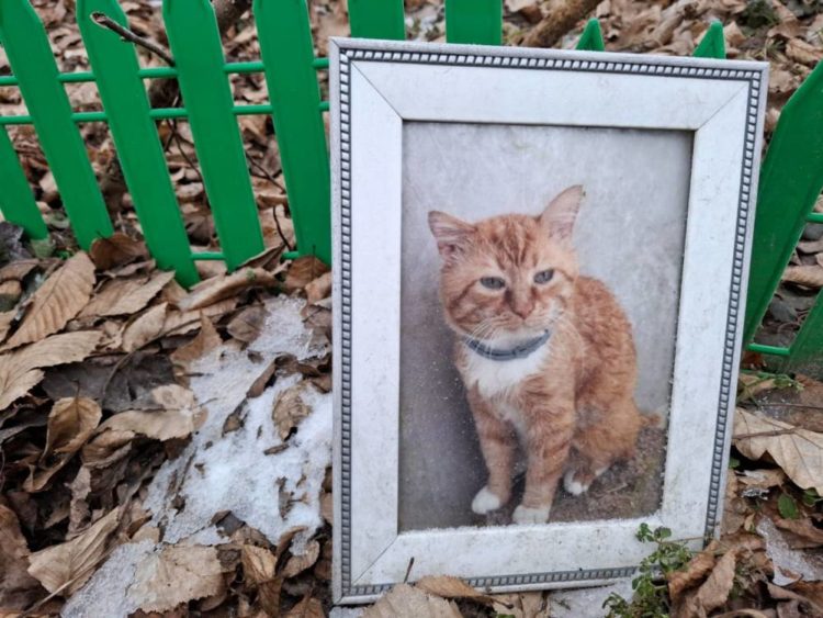 Цвинтар тварин