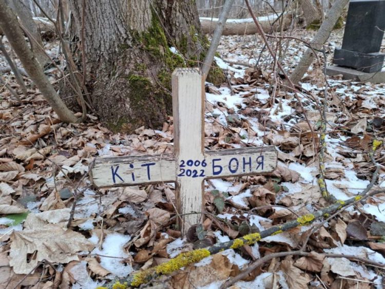 Цвинтар тварин