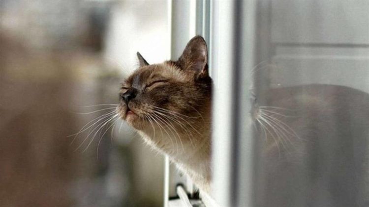 погода тернопіль