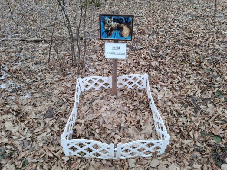 Цвинтар тварин