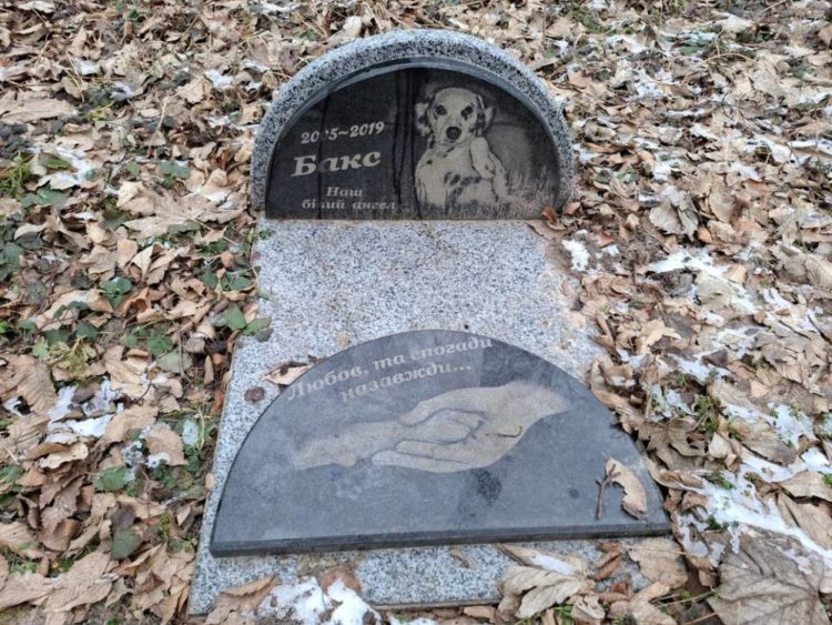 Цвинтар тварин