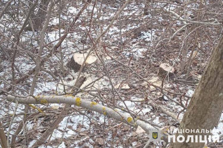 Затримали крадіїв дров