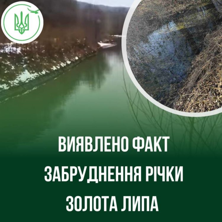 Забруднення річки на Тернопільщині